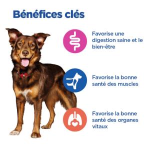 Hill's Vet Essentials Chien Multi-Benefit Adult1+ Poulet&Légumes 363g