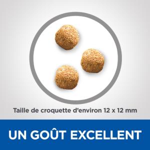 Hill's VET ESSENTIALS Mature Dental Health croquettes pour petit chien âgé au poulet 2kg