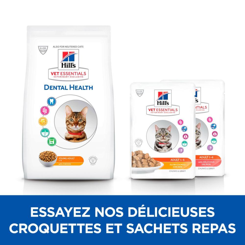 Hill's VET ESSENTIALS Dental Health croquettes pour Chat 250g