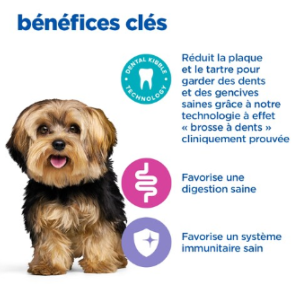 Hill's VET ESSENTIALS MULTI-BENEFIT + DENTAL Croquettes pour Chien Adulte Small & Mini au Poulet 2kg