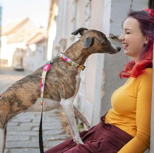 COLLIER + GOTCHA MISSY POP XS 1x22-35CM