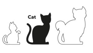 HARNAIS+LAISSE CHAT AMIRA MIX COULEUR 1PC