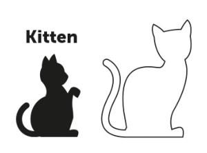 COLLIER CHATON AMSI MIX COULEUR 1PC