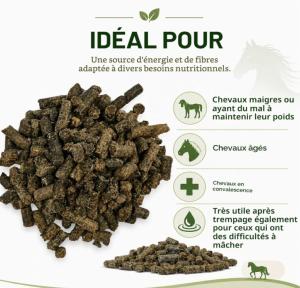 PULPE BETERAVES SECHE 20 KG