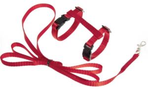 HARNAIS+LAISSE CHATON ZIGGI ROUGE