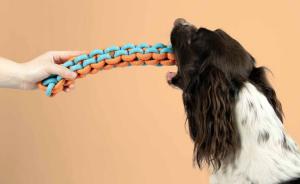 Coockoo Jouet pour chien avec corde tressée TWISTING TUGGER Bleu/orange 45CM