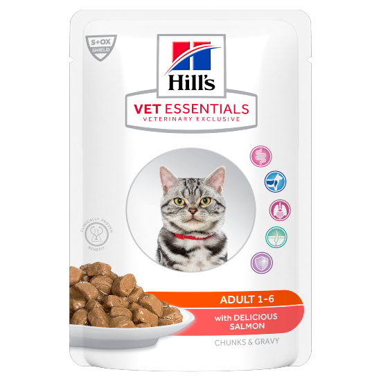 	Hill's VET ESSENTIALS Adult Multipack 12 sachets repas pour chat au saumon 85g