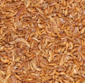 AQUA-KI GAMMARUS 1000 ML