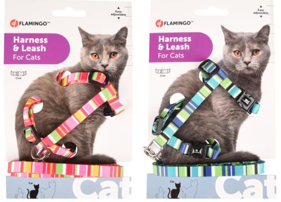 HARNAIS+LAISSE CHAT AMIRA MIX COULEUR 1PC