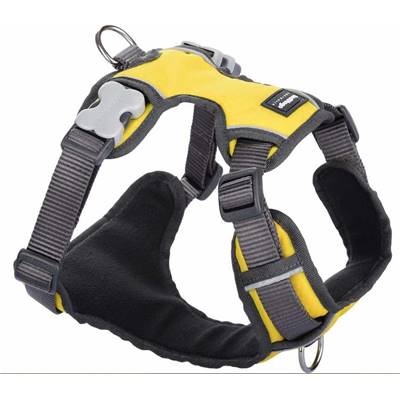 RED DINGO Padded harnais Yellow M 20mm, cou 38-58cm, corps 46-63cm