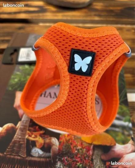 Harnais MESH