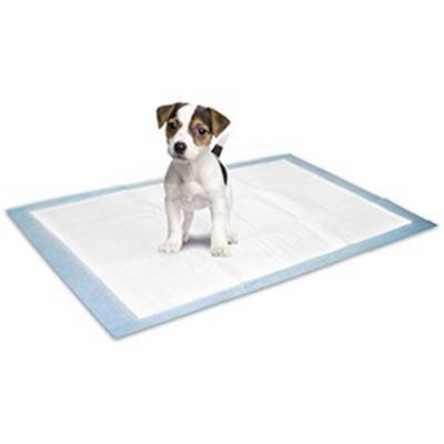 TAPIS EDUCATEUR S 10PC 35x45CM