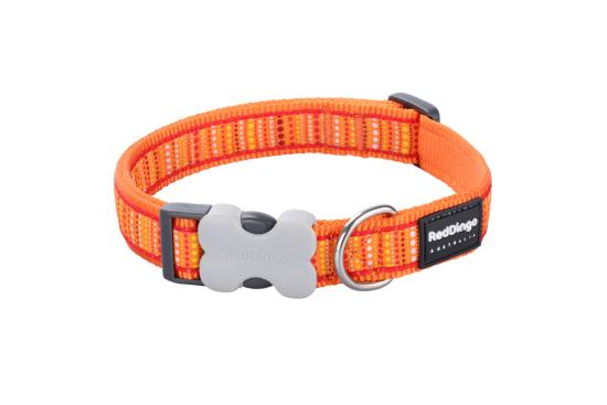 RED DINGO Dog collier Lotzadotz Orange XS 12mm x 20-32cm