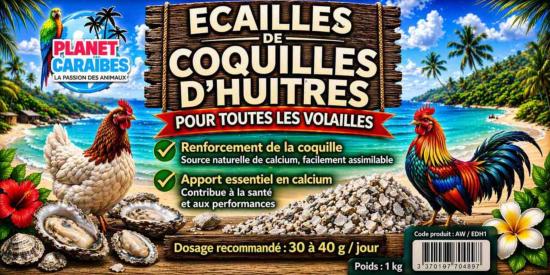 ECAILLES D'HUITRES 1KG