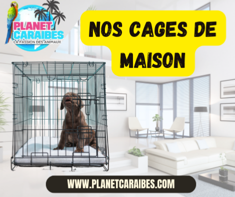 NOS CAGES DE MAISON