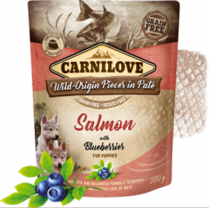 CARNILOVE - DOG POUCH - PATE SALMON WITH BLUEBERRIES - PUPPIES - 300G