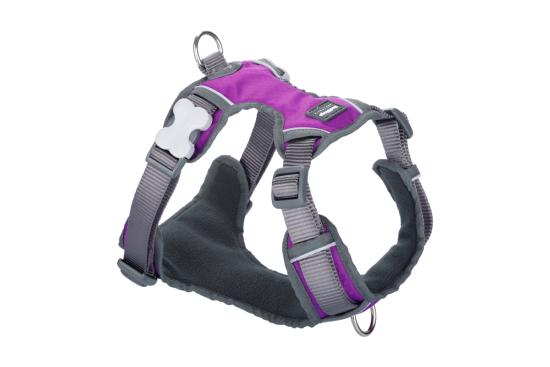 RED DINGO Padded harnais Purple M 20mm, cou 38-58cm, corps 46-63cm