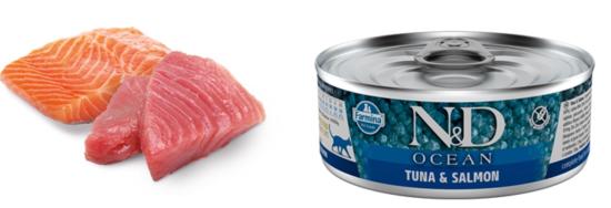 N&D CHAT OCEAN THON & SAUMON 80 GR