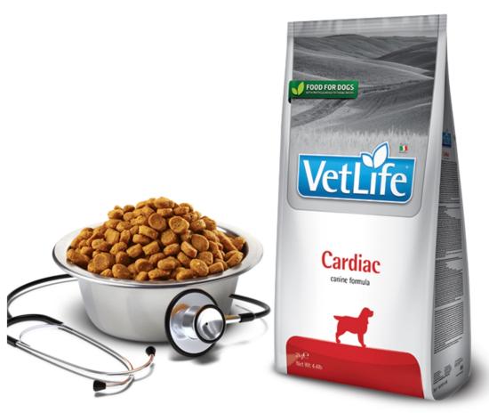 VET LIFE DOG CARDIAC 2 KG