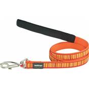 RED DINGO Dog laisse Design Lotzadotz Orange M 20mm x 1.2m