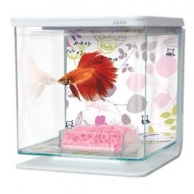 BETTA KIT 2L FLORAL