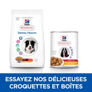 Hill's VET ESSENTIALS Adult Dental Health croquettes pour chien au poulet 10kg