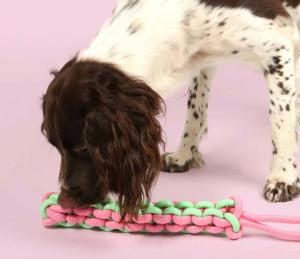 Coockoo Jouet pour chien avec corde tressée TWISTING TUGGER Vert/rose 45CM