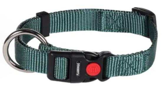 Chien Collier Ziggi Vert foncé S 30-45cm + sécurité-lock 