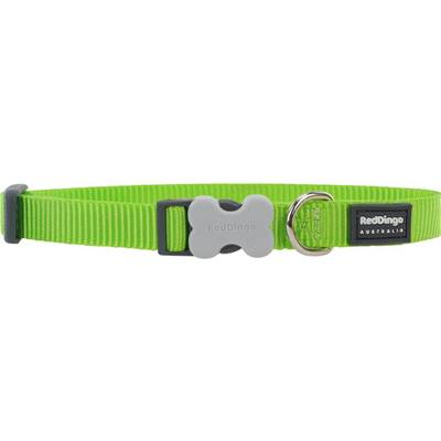 RED DINGO Dog collier unis Classic Lime Green M 20mm x 31-47cm