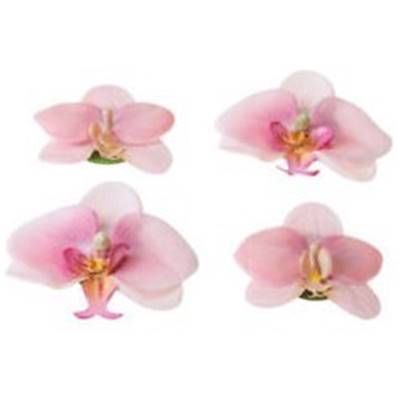 ORCHID PINK 7/9 cm 4 pièces