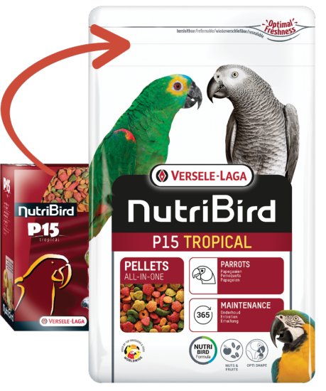 Nutribird P15 tropical 3kg