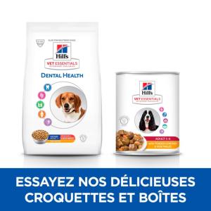 Hill's VET ESSENTIALS Mature Dental Health croquettes pour grand chien âgé au poulet 10kg