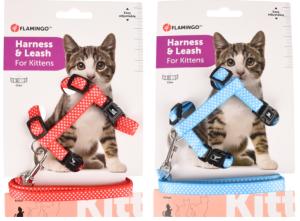 HARNAIS+LAISSE CHATON AIWA MIX COULEUR 1PC