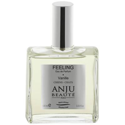 ANJU EAU DE PARFUM FEELING 100ML