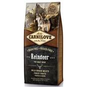 CARNILOVE REINDER ADULT 12kg