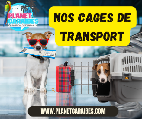 NOS CAGES DE TRANSPORT