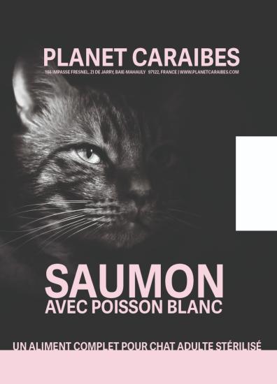 CONNOISSEUR CHAT STÉRILISÉ SAUMON ET POISSON BLANC 5KG