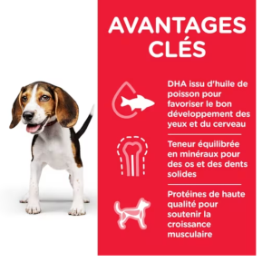 Hill's Science Plan Chien Puppy Poulet Boite 370g