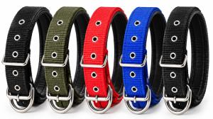 COLLIER CHIEN NYLON 1,5 X 40CM - 1PC
