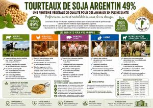 TOURTEAUX D'EXTRACTION DE SOJA ARGENTIN 20 KG