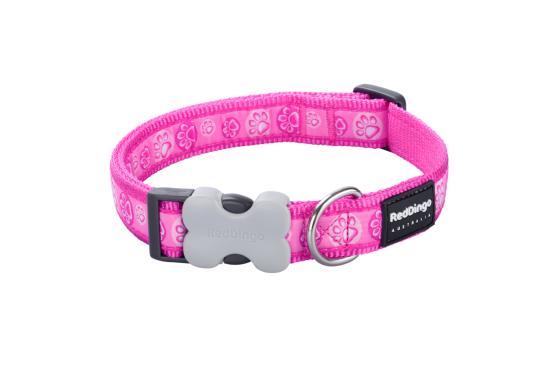 RED DINGO Dog collier Design Paw Impressions Hot Pink S 15mm x 24-36cm