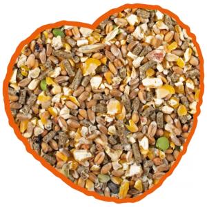 GRAIN DE PONTE MIX 20KG