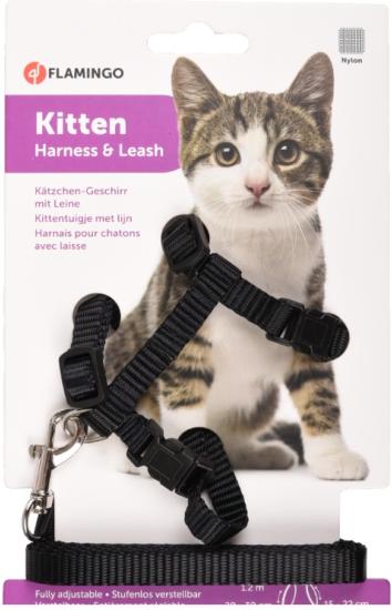 HARNAIS+LAISSE CHATON ZIGGI NOIR