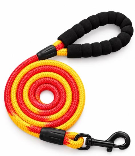 LAISSE CHIEN NYLON GRADIANT 1,2X120CM