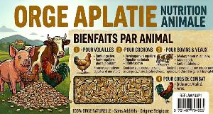 ORGE APLATI SEAU 1KG