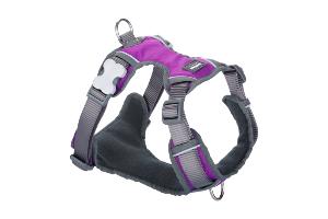 RED DINGO Padded harnais Purple XS 12mm, cou 25-36cm, corps 31-43cm
