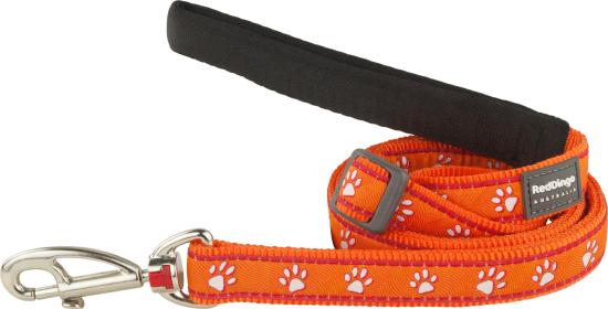 RED DINGO Dog laisse Design Desert Paws Orange S 15mm x 1.8m