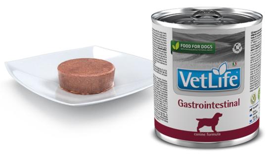 VET LIFE NATURAL DIET CHIEN GASTROINTESTINAL 300GR