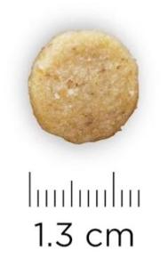 Hill's PRESCRIPTION Chien u/d Urinary 10kg