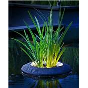 Floating Plant Light panier de plantation flottant + éclairage LED Ø 35 cm